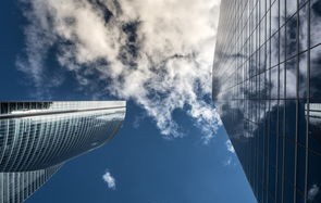 巨蟒負傷躲在花園 救援隊抓捕后放歸