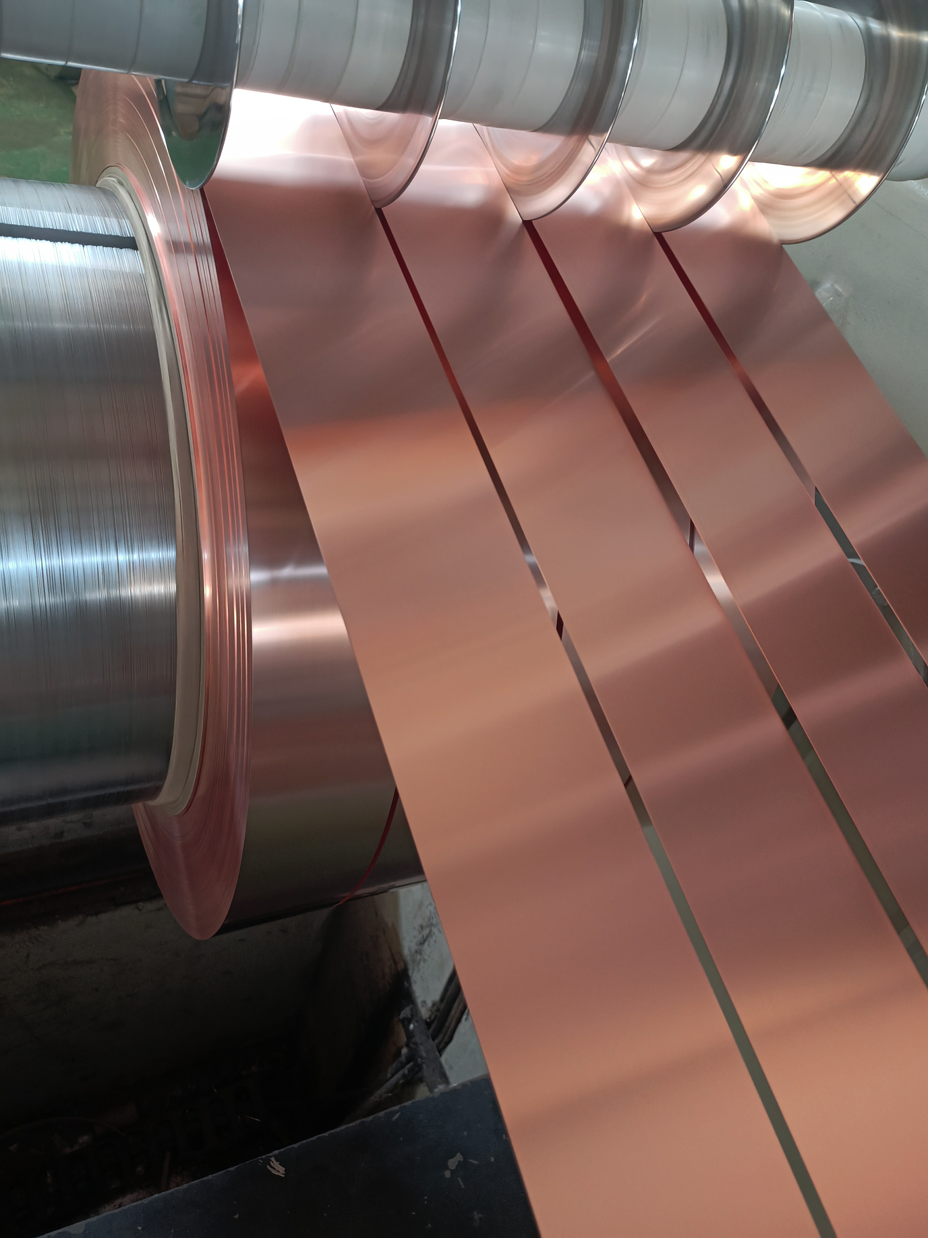 12歲東北虎打針時瑟瑟發抖