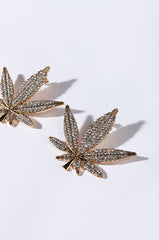 BECAUSE I GOT HIGH EARRINGS