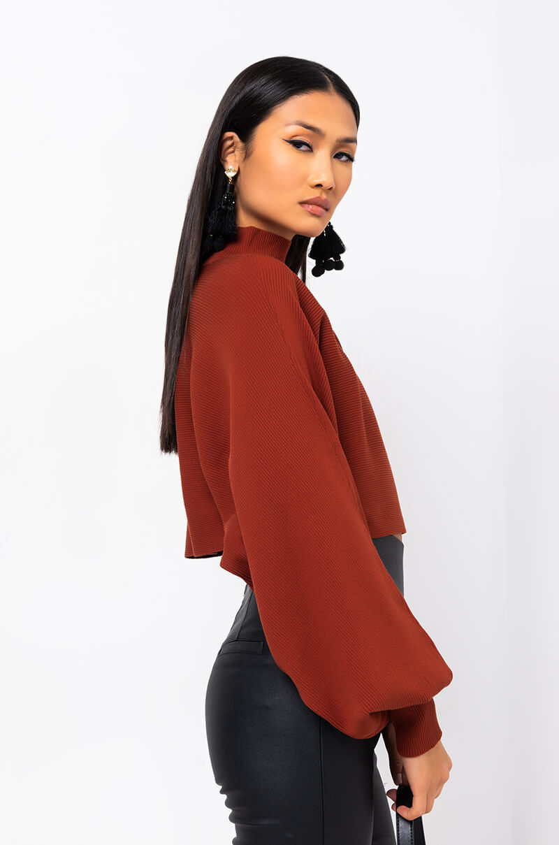 CINNAMON COOKIE SWEATSHIRT rust